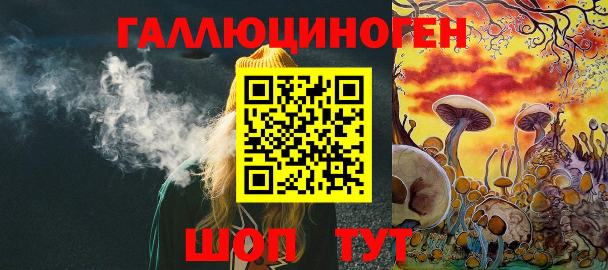 Ярославль  Псилоцибиновые грибы GOLDEN TEACHER  Псилоцибиновые грибы GOLDEN TEACHER  Вход с VPN 