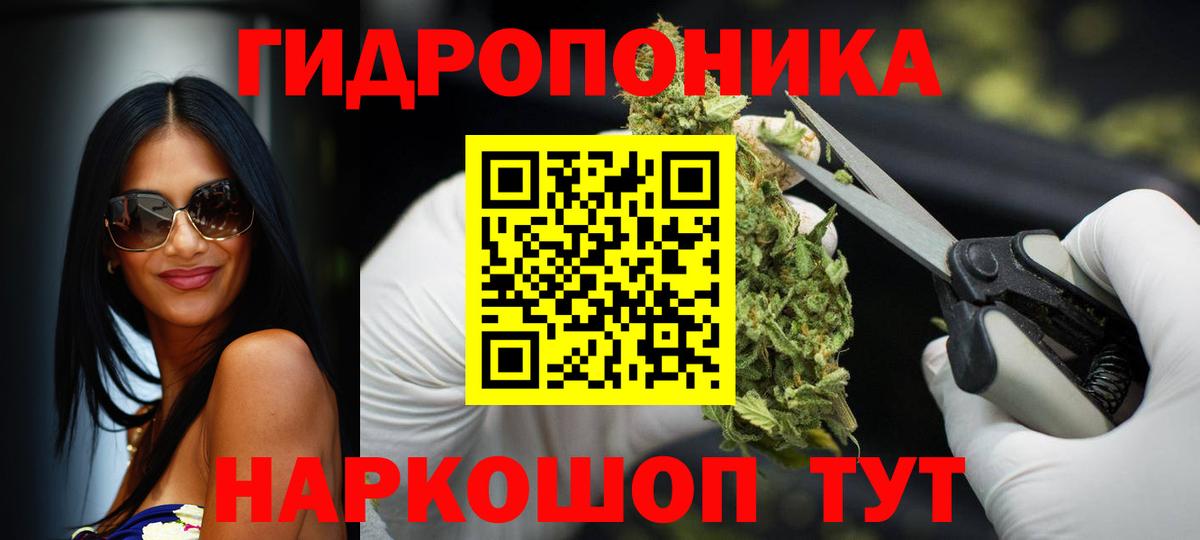 Конопля Ярославль